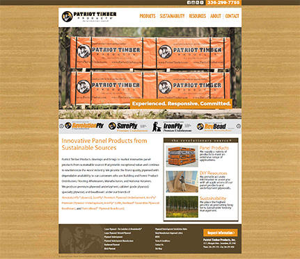 Responsive Website